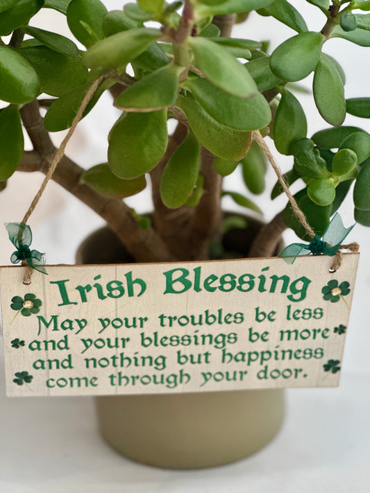 Irish Blessing Sign
