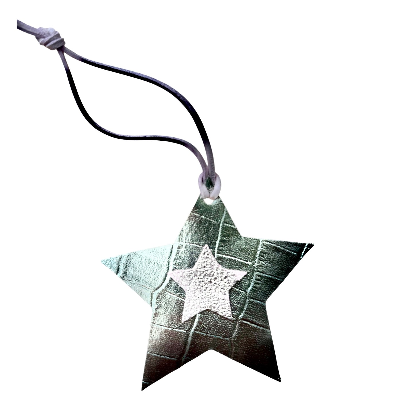 Shiny Star Decoration