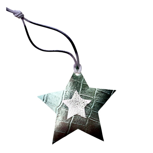 Shiny Star Decoration