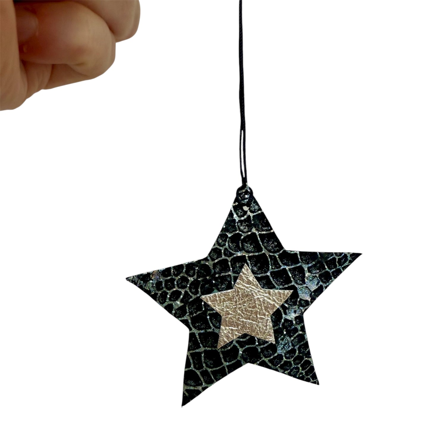 Shiny Star Decoration